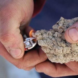 одним из главных перимуществ минеральной ваты является высокая пожароустойчивость